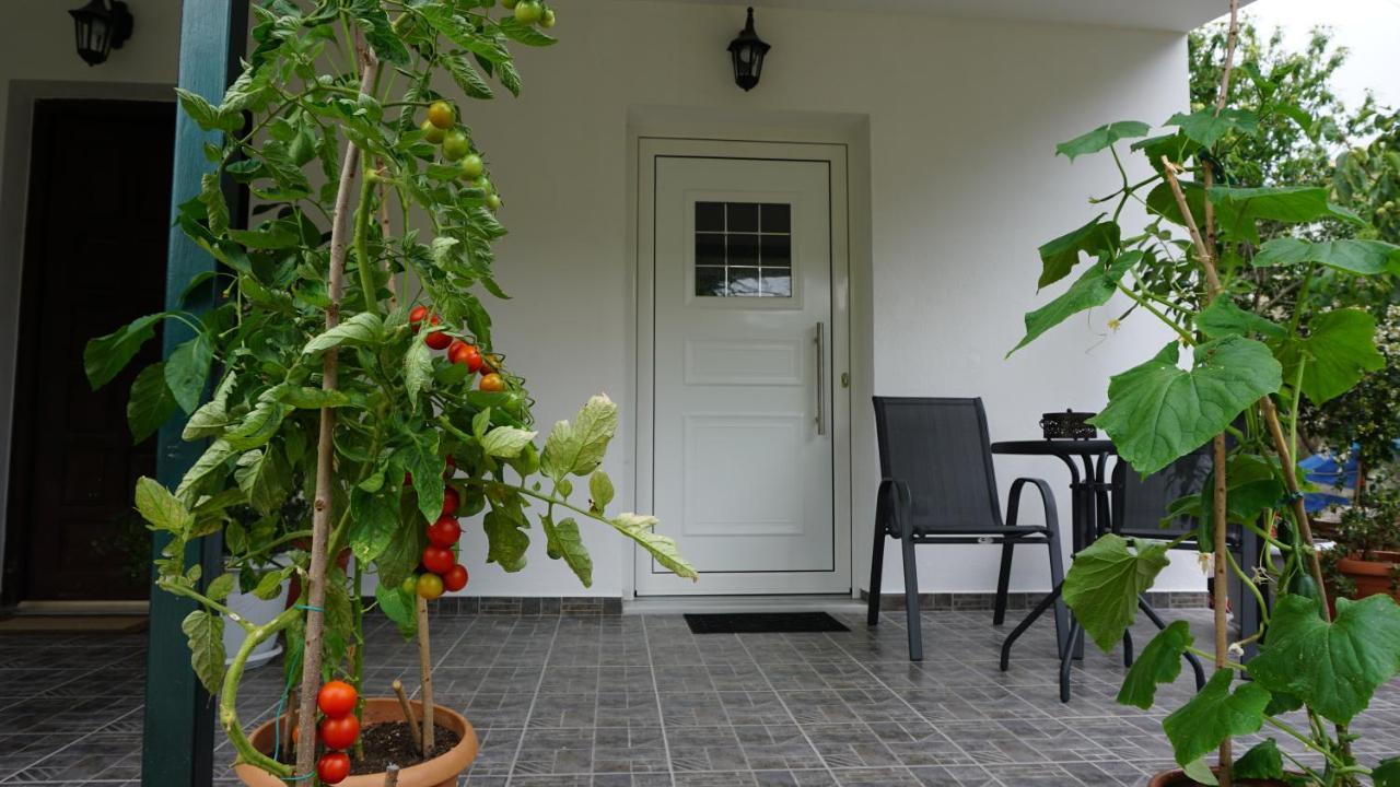 Sivota Colours Hotel Exterior photo